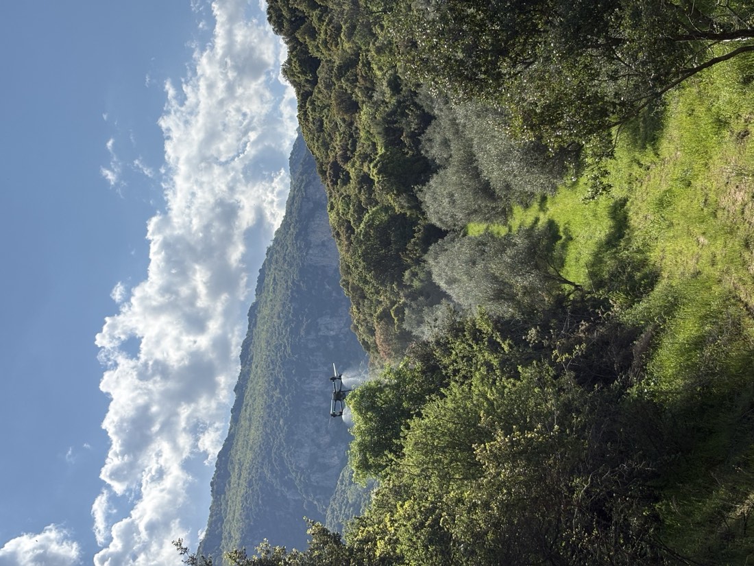 Εναέρια εφαρμογή πάνω από πυκνή βλάστηση