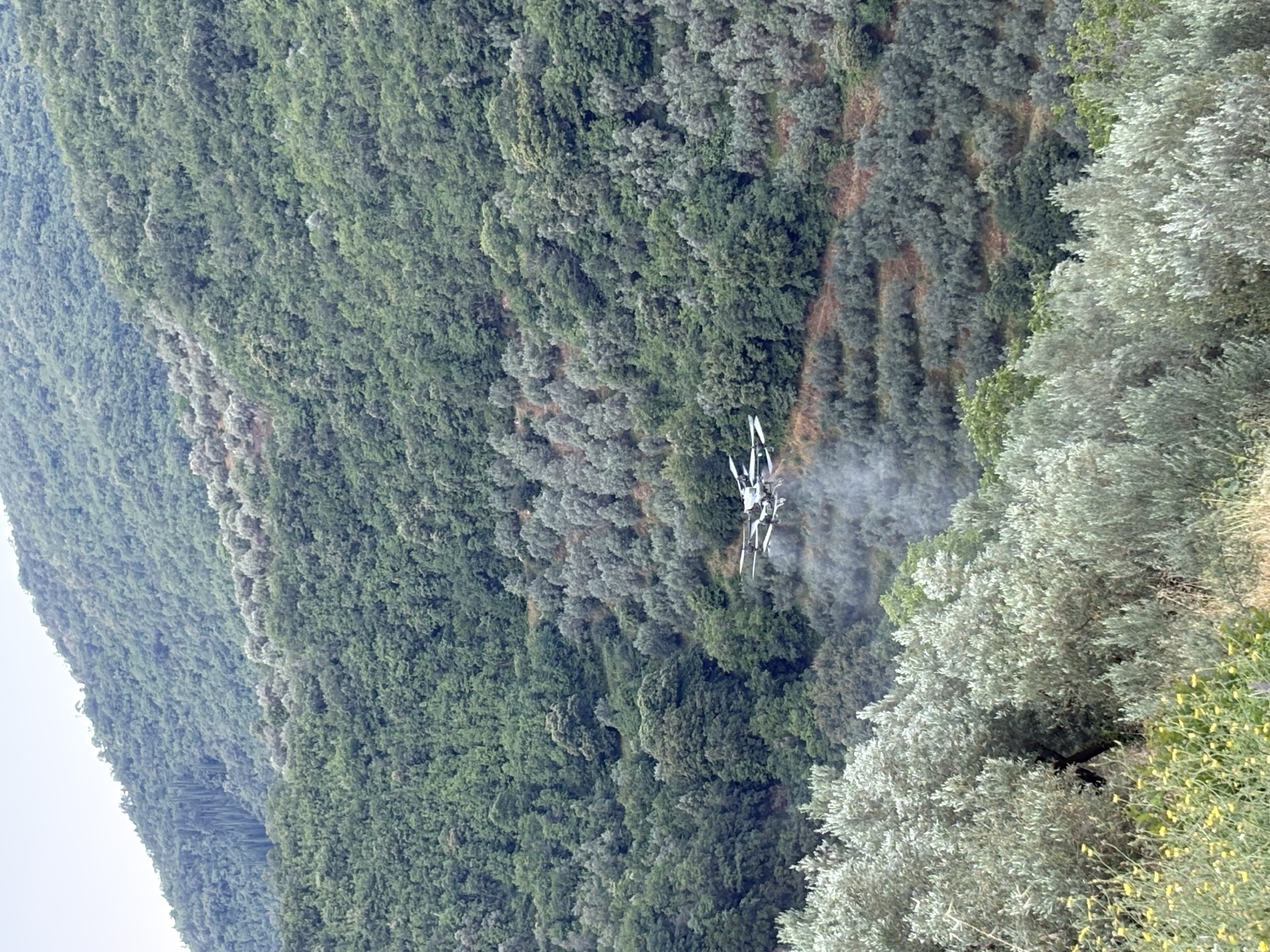 Εναέρια εφαρμογή πάνω από πυκνή βλάστηση — στόχευση των εστιών όπου αναπτύσσονται τα έντομα